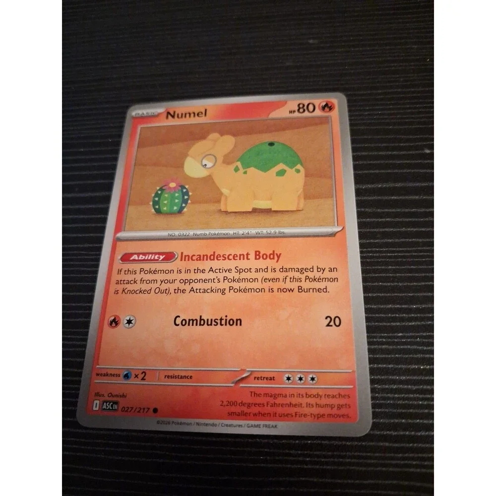 Numel 027/217 ~ Common English Near Mint